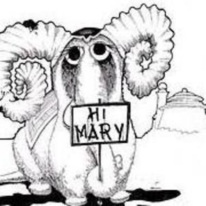 Meet your Posher, Mary pegeen